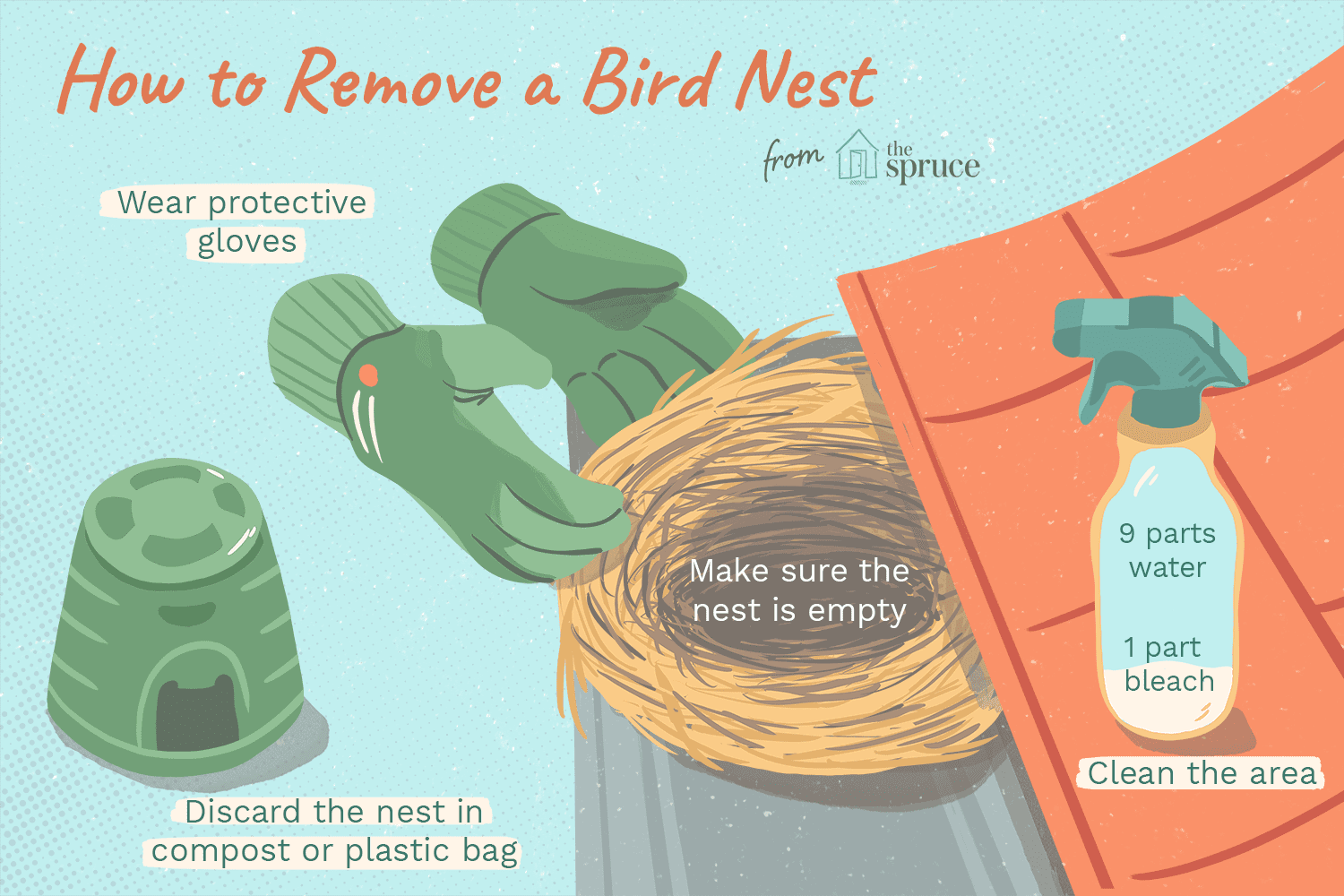 removing-bird-nests-386634_final_AC-5be07ccbc9e77c00514ae6d6.png