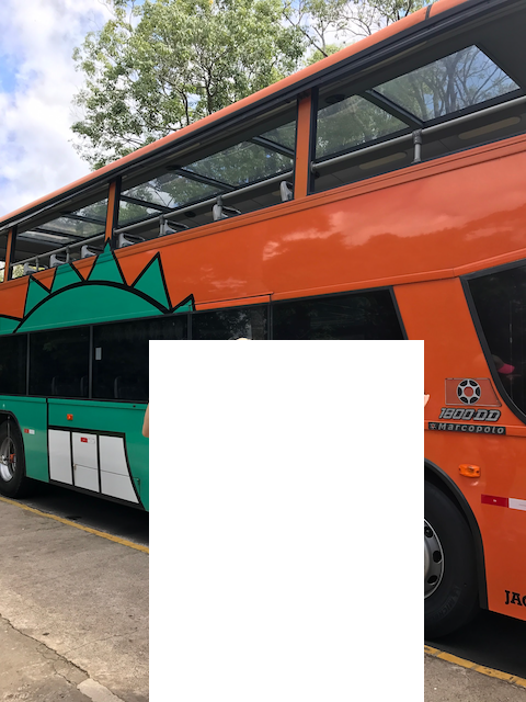 brazil-bus.png