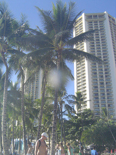 20130808_090_Waikiki.jpg