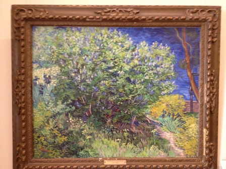 Gogh-lylac.jpg