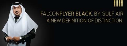 falconflyer black.jpg